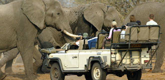 viagens-áfrica-safari-pacotes-quénia-africa-do-sul