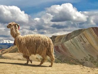 peru